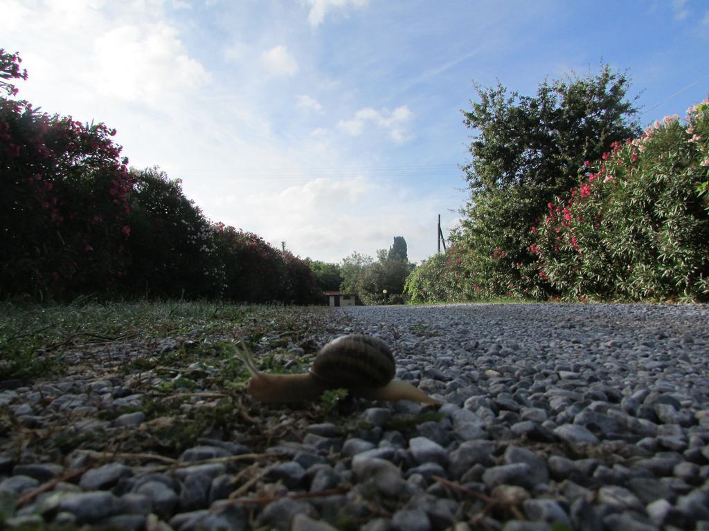 Azienda Agrituristica Allumiere Villa Campiglia Marittima Kültér fotó