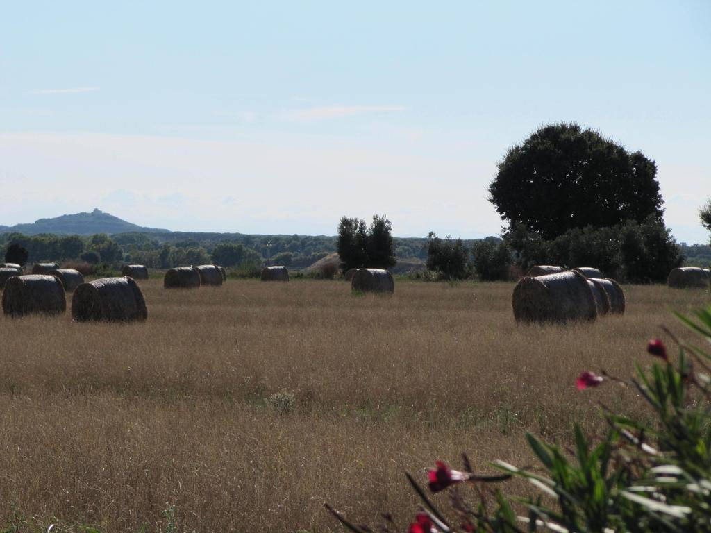 Azienda Agrituristica Allumiere Villa Campiglia Marittima Kültér fotó