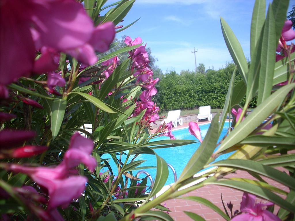 Azienda Agrituristica Allumiere Villa Campiglia Marittima Kültér fotó