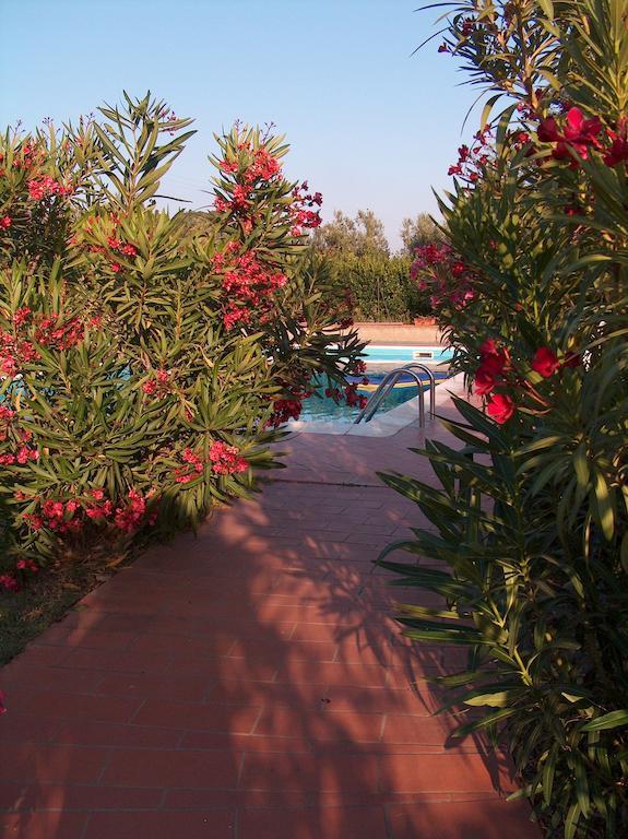 Azienda Agrituristica Allumiere Villa Campiglia Marittima Kültér fotó